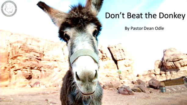 Don't Beat the Donkey